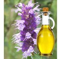 Hyssop Oil - 100% Pure And Natural, Pale Yellow To Green Color, Sweet Woody And Herbal Aroma, Ideal For Blending With Citrus And Lavender