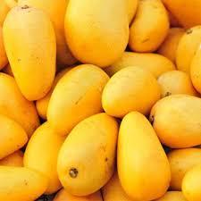 Mango fragrance Oil