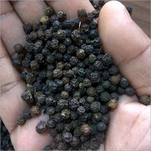 Black Pepper