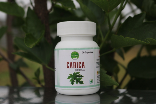 Papaya Leaf Extract Capsule Age Group: Suitable For All Ages