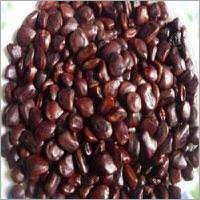 Common Natural Tamarind Seed