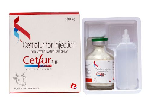 Liquid Ceftiofur Injection at Best Price in Ambala, Haryana | Zenley Animal  Health
