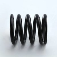 customized 302 350 454 lbs valve springs