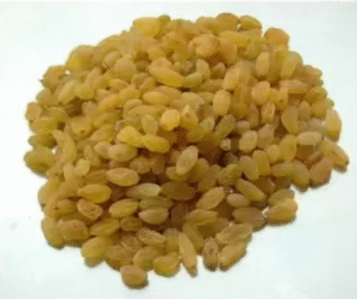 yellow raisin