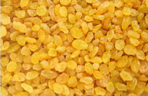 gold raisins