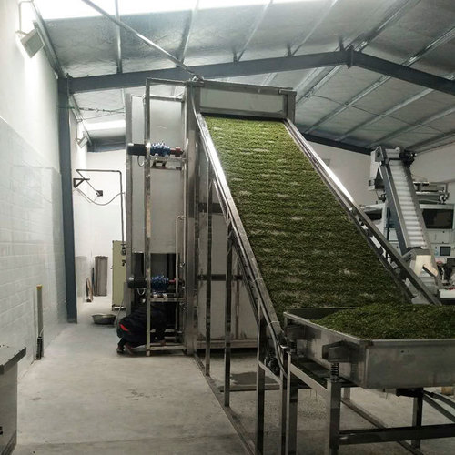 2500Kg Green Onions Drying Machine Belt Dryer Dimension(L*W*H): 6*2.24*2.6 Meter (M)