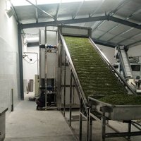 2500kg Green Onions Drying Machine Belt Dryer Dimension(l*w*h): 6*2.24*2.6  Meter (m)