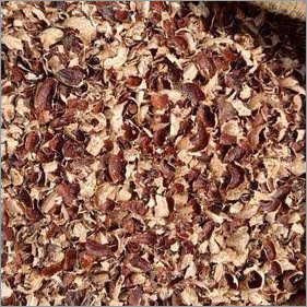 Cashew Husk