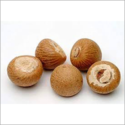 Brown Betel Nut