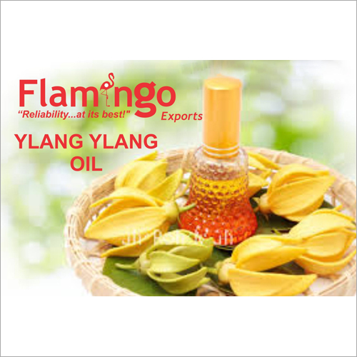 Ylang Ylang Oil