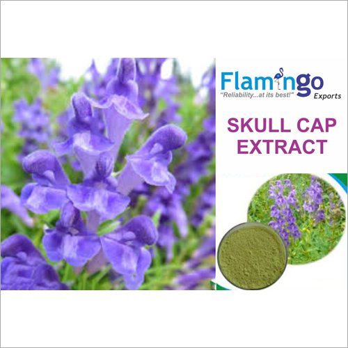 Skullcap Extract