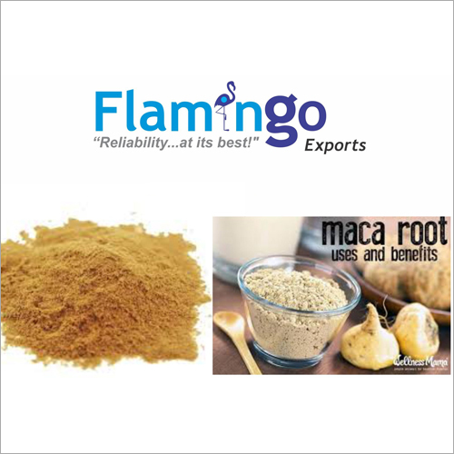 Cream Maca Powder