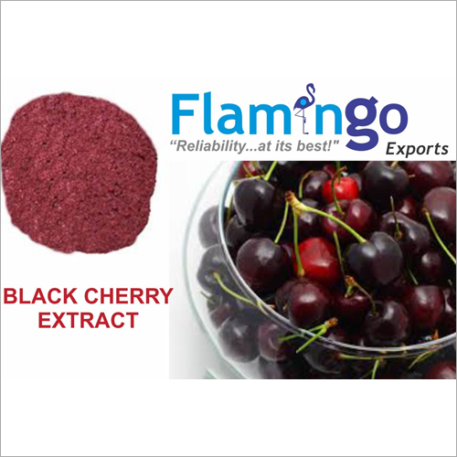 Purple Black Cherry Extract