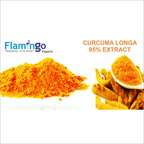 Curcuma Long 95% Extract