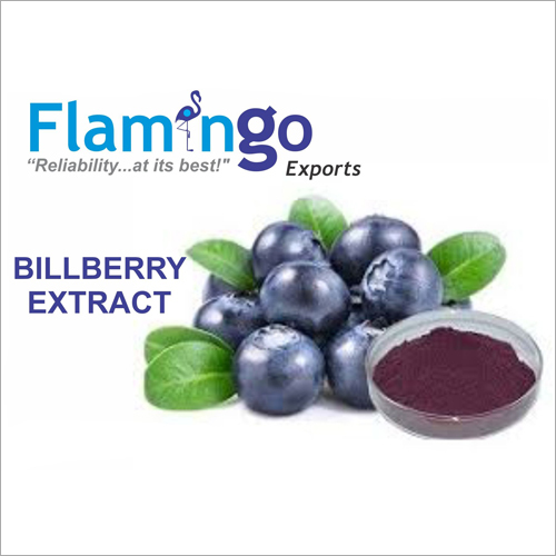 Billberry Extract