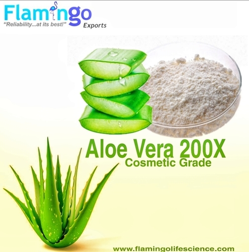 Aloe Vera 200 X Powder
