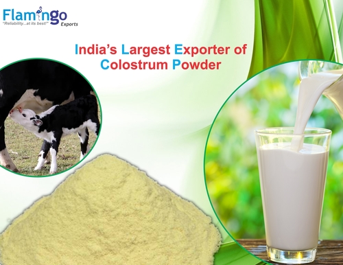 Colostrum Powder