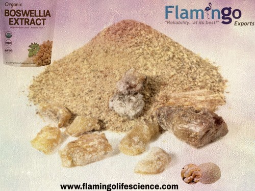 Beige Boswellia Serreta Extract