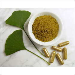 Ginkgo Biloba Extract