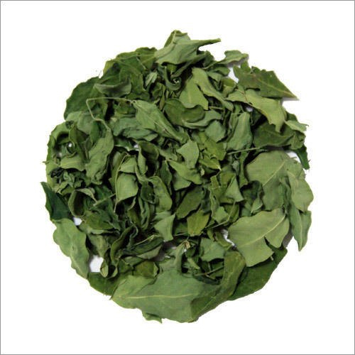Dry moringa leaves