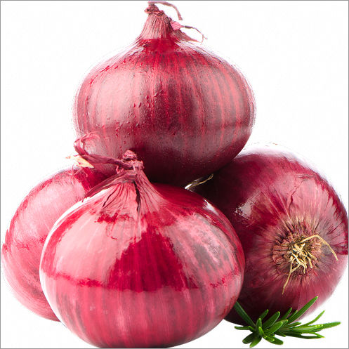 Fresh Onion