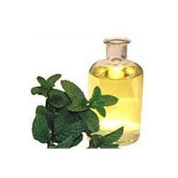 Mentha Citrata Oil Ingredients: Herbal Extract