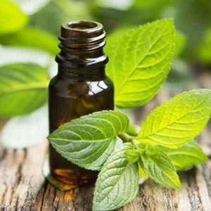 Peppermint Oil Purity(%): 99%