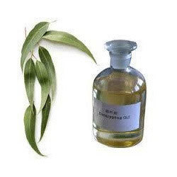 Eucalyptus Oil Ingredients: Herbal Extract