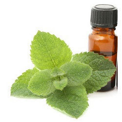 Spearmint Oil Purity(%): 99%