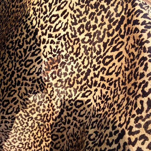 Leopard Printed Leather