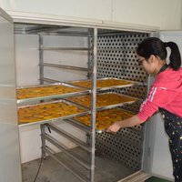 Fruits Dry And Dehumidify Mango Dehydrator Dimension(l*w*h): 2800*1100*2200 Millimeter (mm)