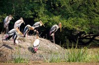Baratpur Itinerary