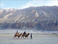 Leh Tour - Ning