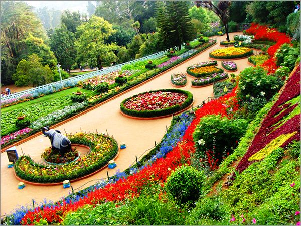 South India Wild Life Tour Package
