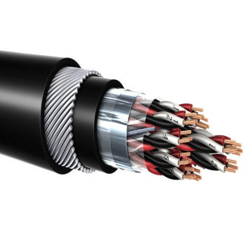 Instrumentation Cables By RASHI CABLES PVT. LTD.