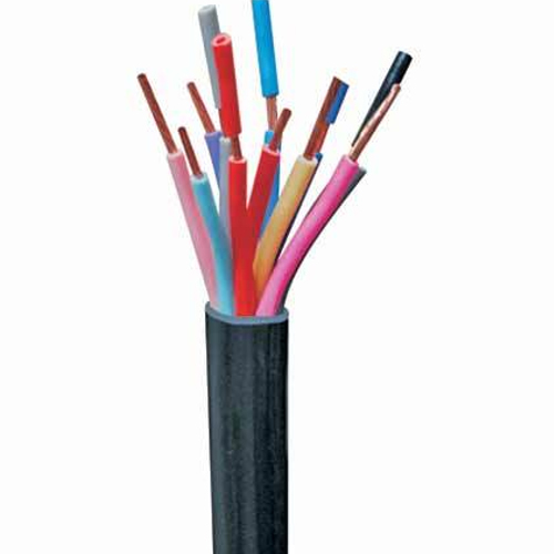 Multicore Cable By RASHI CABLES PVT. LTD.