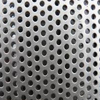 Perforated Hole Sheet