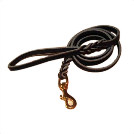 Black Dog Leashes