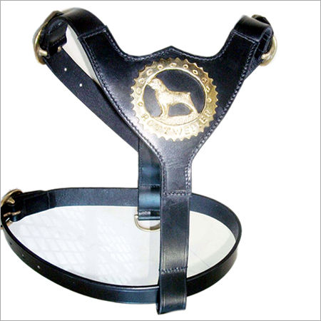 Dog Harness