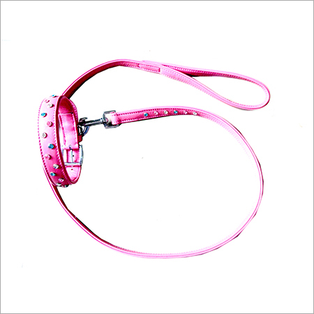 Collar & leash set-2713