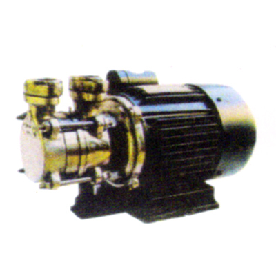 SS Pumps