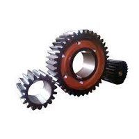 Spur Gear