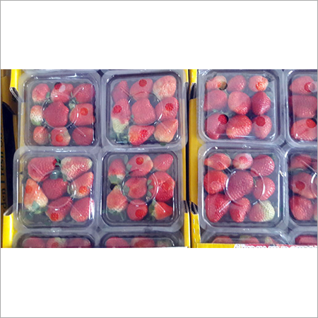 Strawberry By PASK OVERSEAS INDIA PVT. LTD.