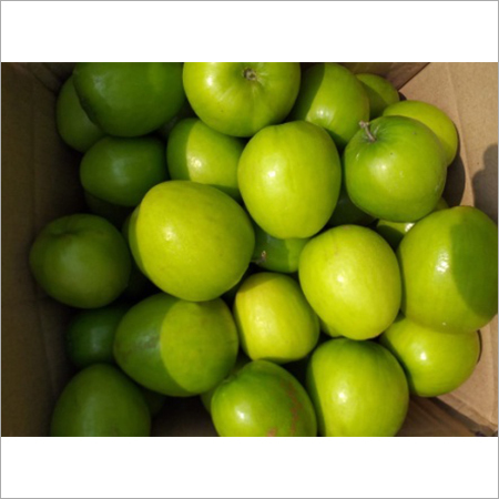 Green Apple By PASK OVERSEAS INDIA PVT. LTD.