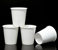 Leakproof Disposable Paper Glass