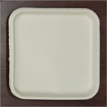 Leakproof Square Paper Plate