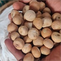 Dry Betel Nut