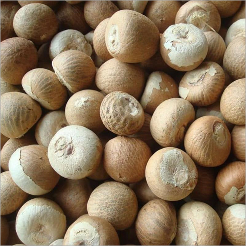 Dry Betel Nut