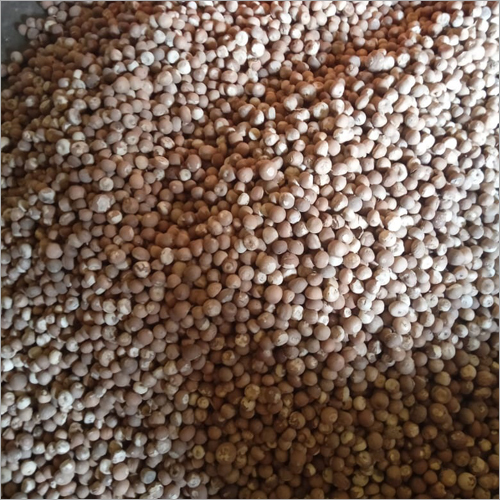 Organic Betel Nut