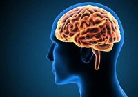 Nerve Rejuvenators Franchise & PCD